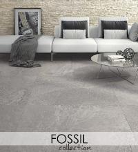 Fossil - HDC